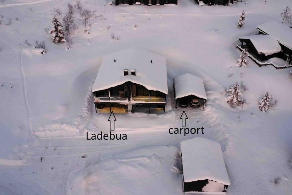 Ladebua *